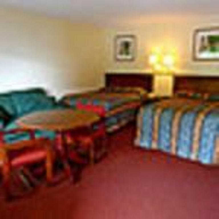 The Whispering Pines Motel- Whitestone White Stone Экстерьер фото