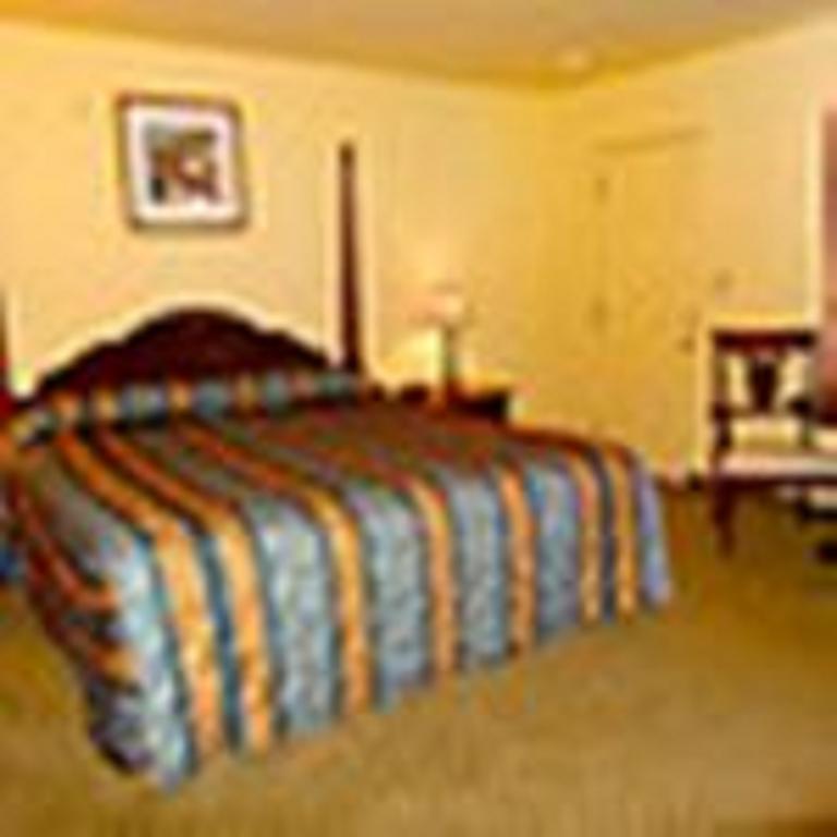 The Whispering Pines Motel- Whitestone White Stone Экстерьер фото